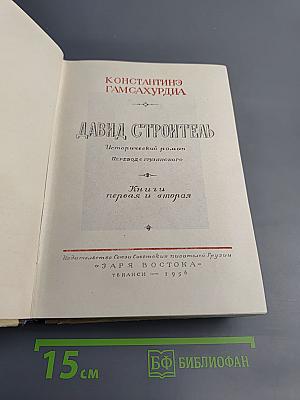 Давид Строитель. Книги первая и вторая