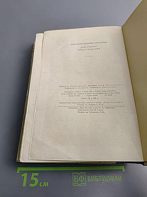 Давид Строитель. Книги первая и вторая