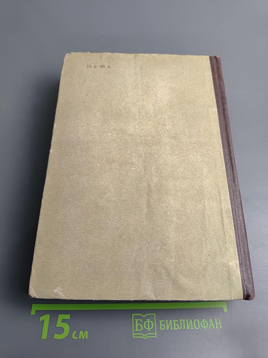 Давид Строитель. Книги первая и вторая