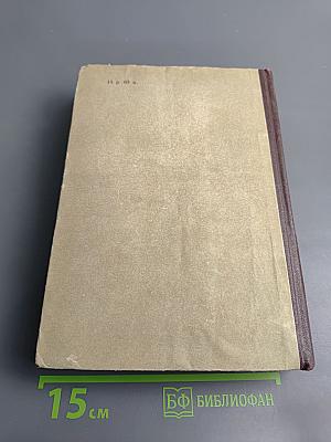 Давид Строитель. Книги первая и вторая