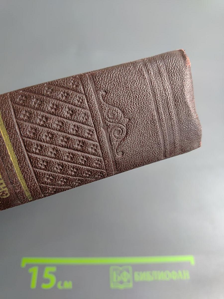 Давид Строитель. Книги первая и вторая