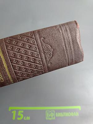 Давид Строитель. Книги первая и вторая