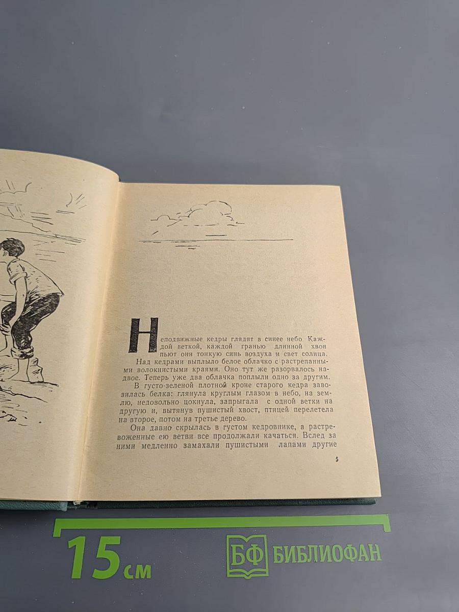 Славное море. Первая волна