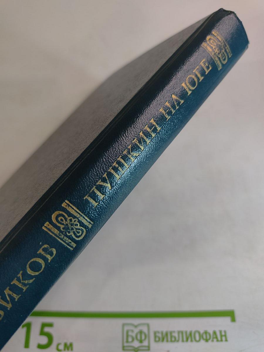 Пушкин на юге