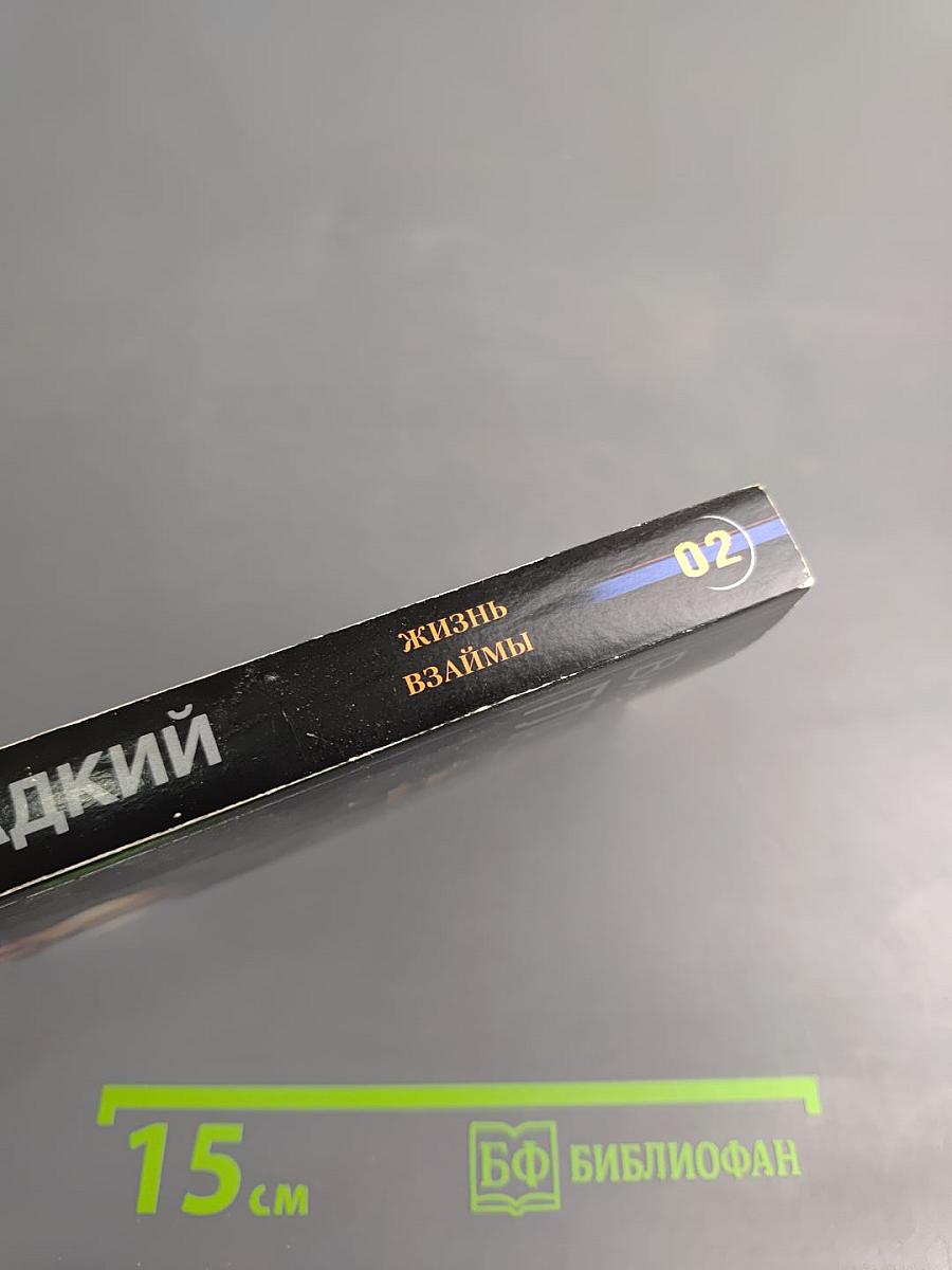 Жизнь взаймы