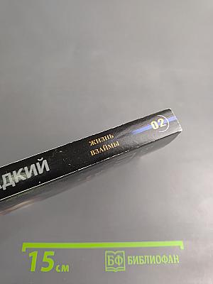 Жизнь взаймы