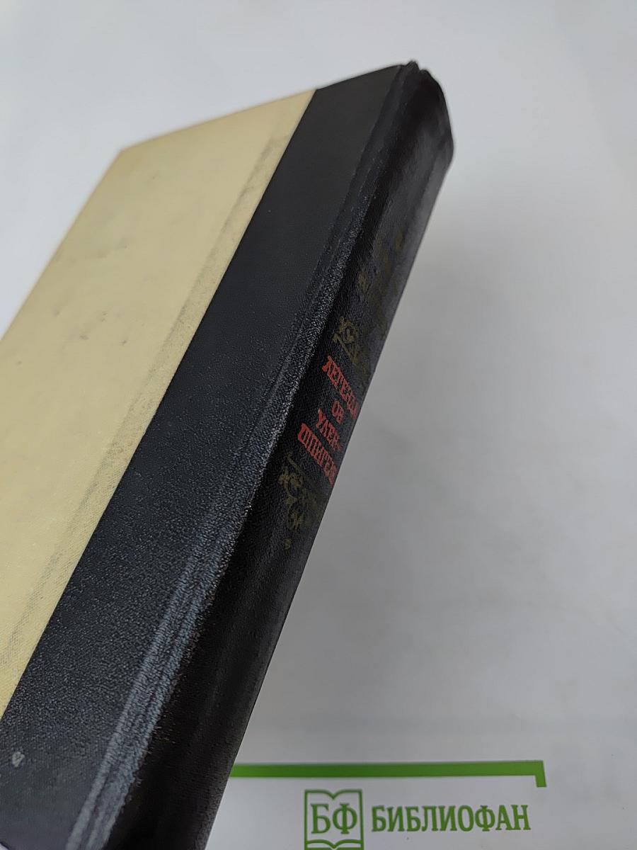 Легенда об Уленшпигеле и Ламме Гудзаке, их приключениях отважных, забавных и достославных во Фландрии и иных странах