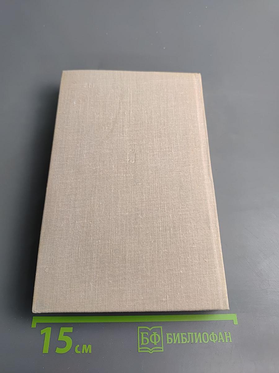 У стен Москвы