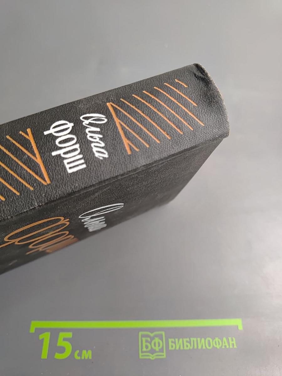 Одеты камнем. Рассказы и очерки