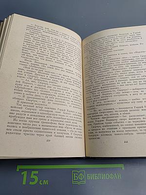 Одеты камнем. Рассказы и очерки