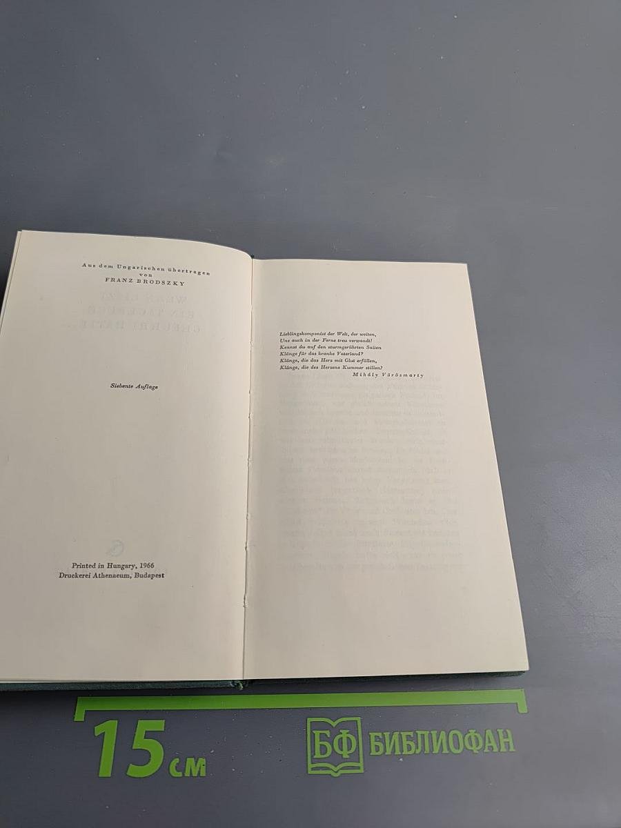 Wenn Liszt ein Tagebuch geführt hätte...