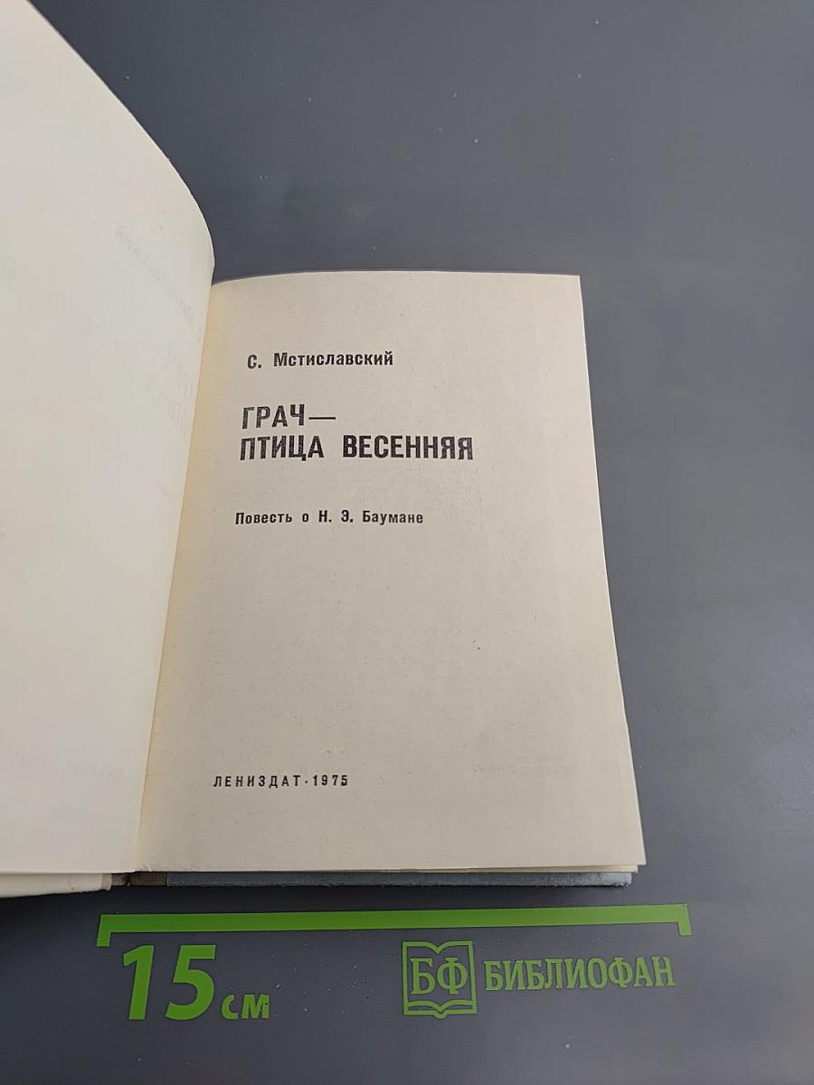 Грач – птица весенняя