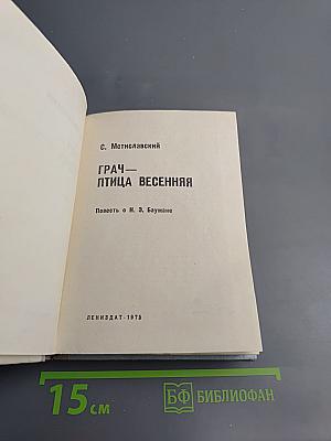 Грач – птица весенняя