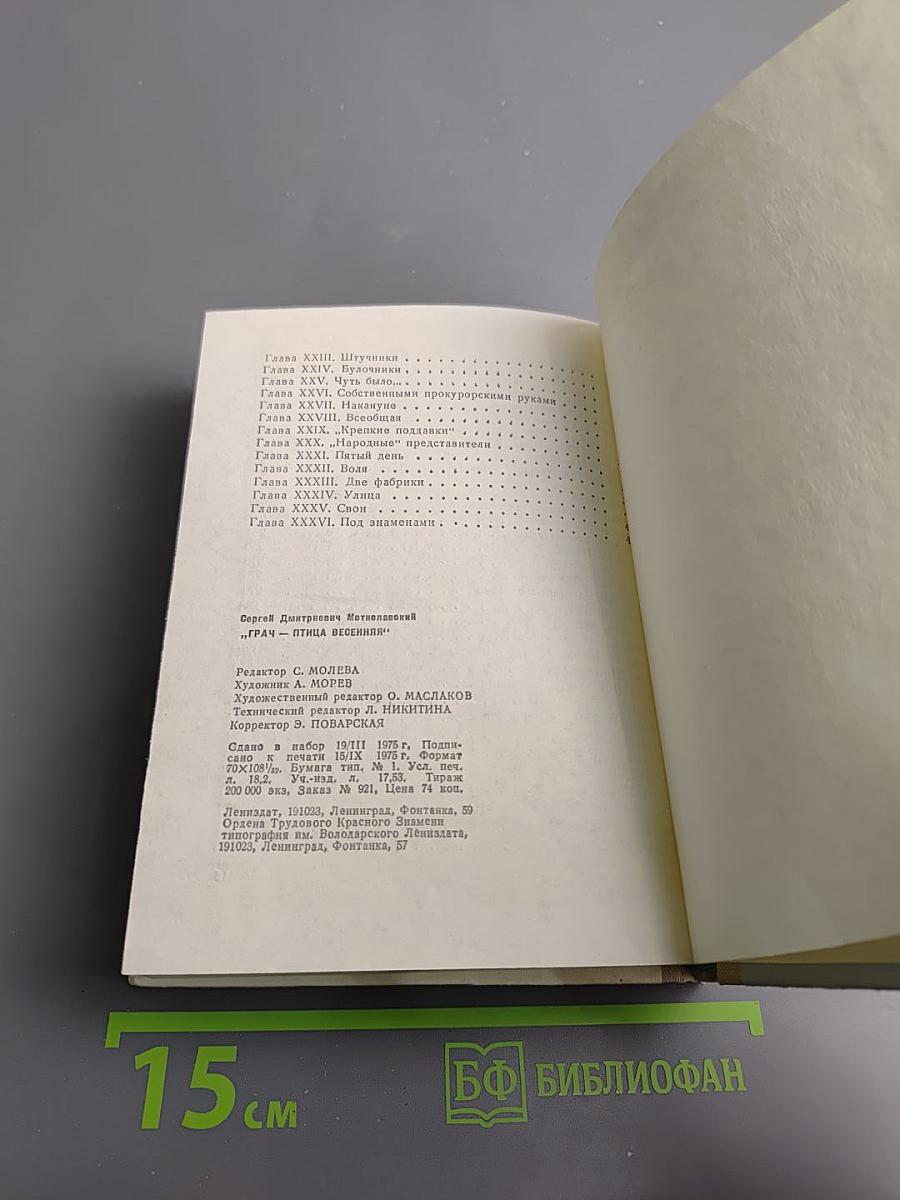 Грач – птица весенняя