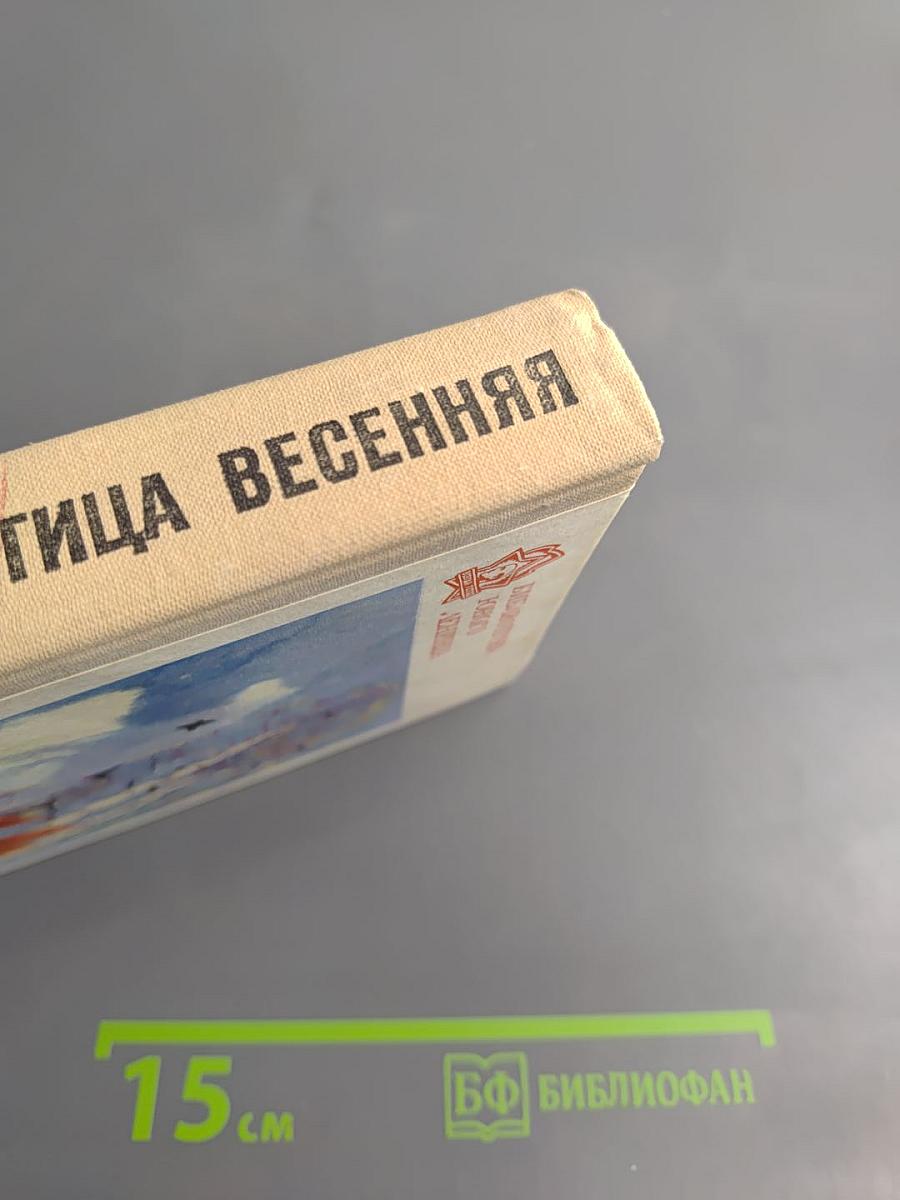 Грач – птица весенняя