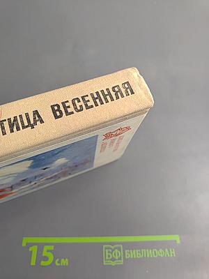 Грач – птица весенняя