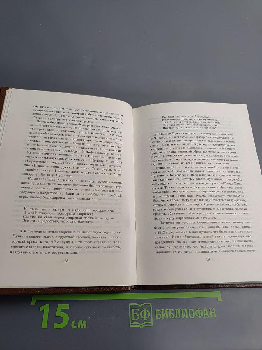 Бородинское поле: 1812 год в русской поэзии