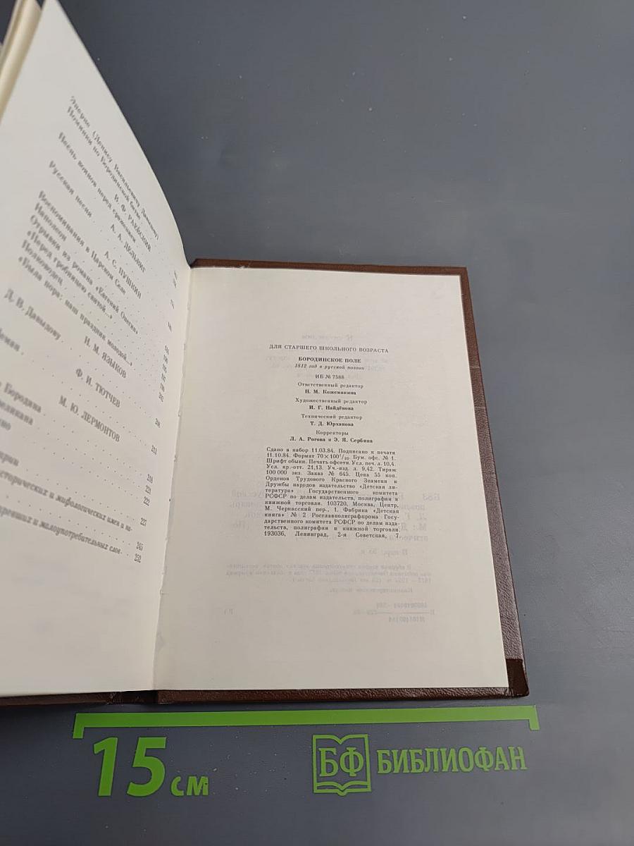 Бородинское поле: 1812 год в русской поэзии