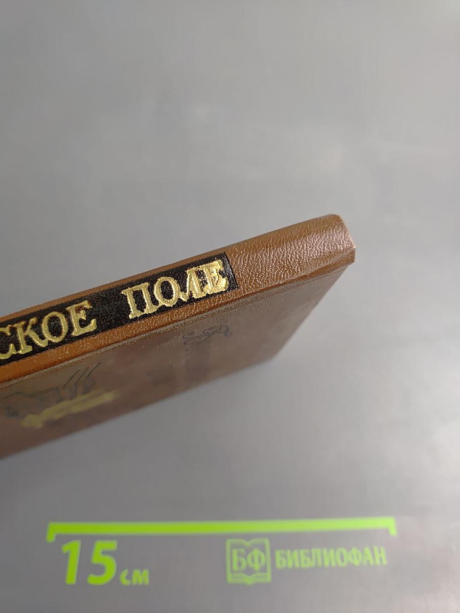 Бородинское поле: 1812 год в русской поэзии