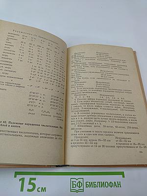 Машинопись