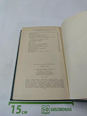 Поиски себя