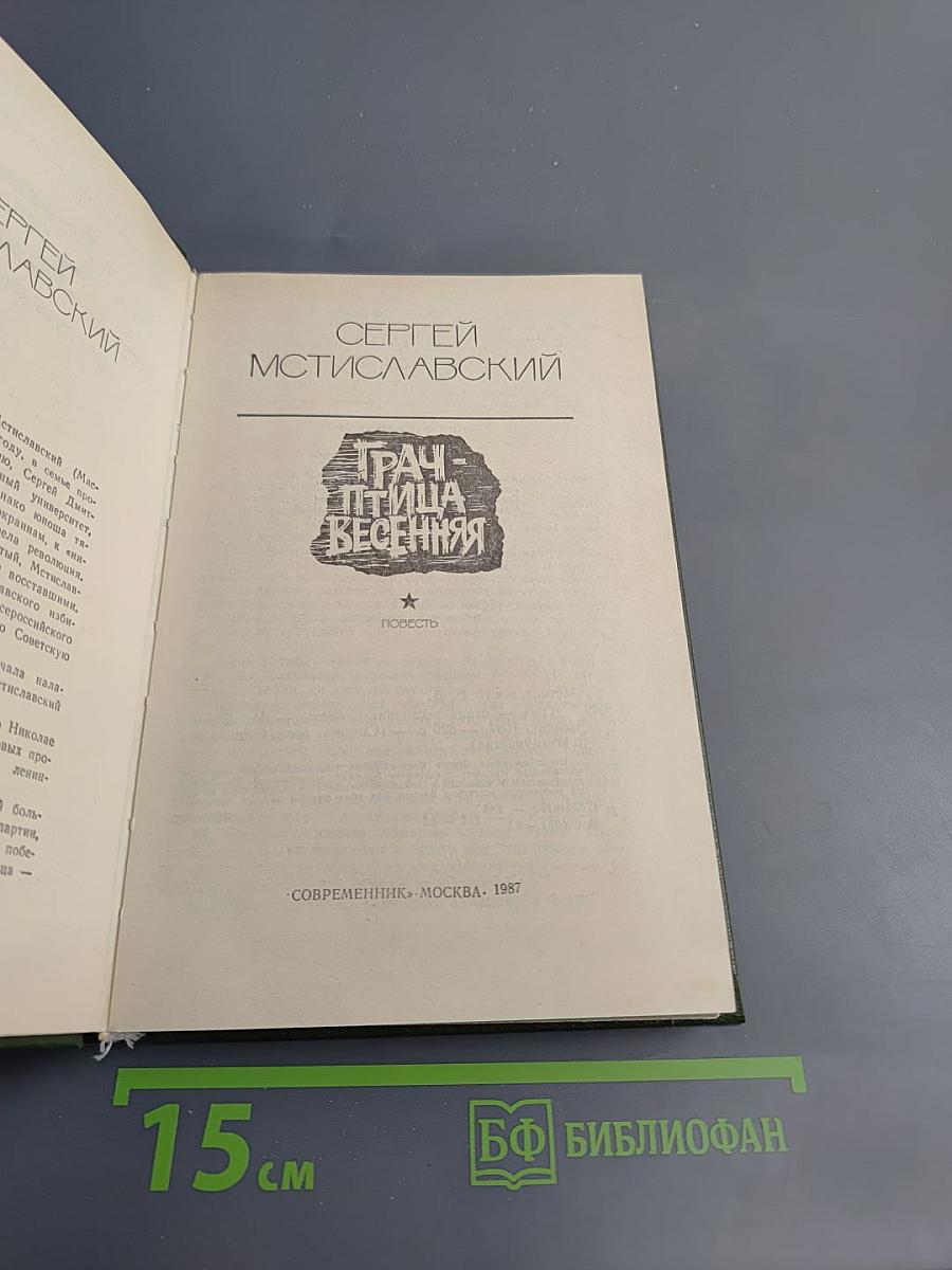 Грач - птица весенняя