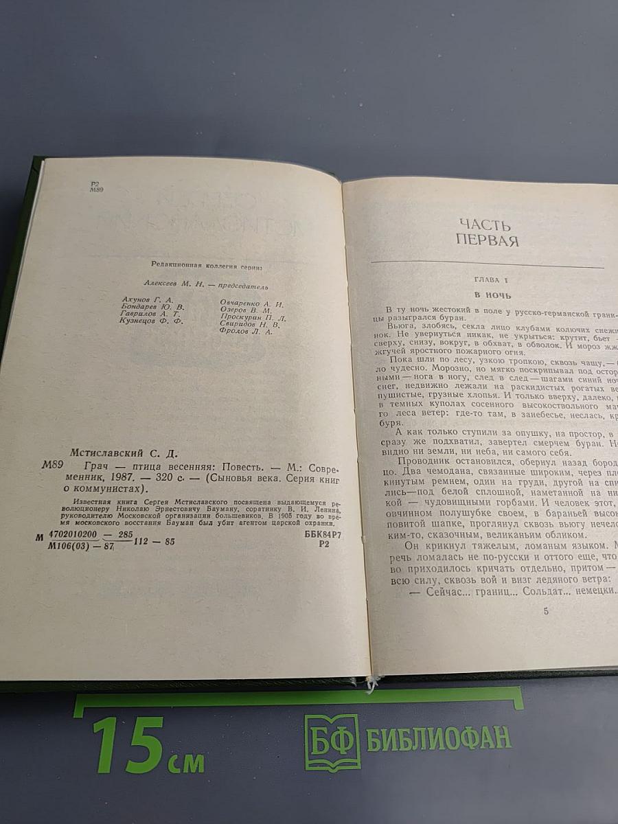 Грач - птица весенняя