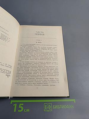 Грач - птица весенняя