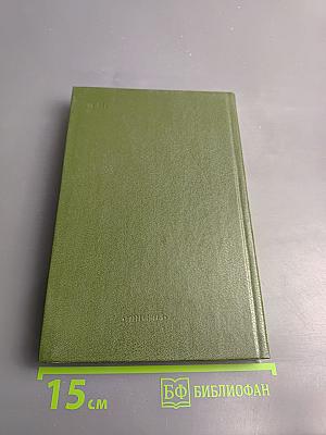 Грач - птица весенняя