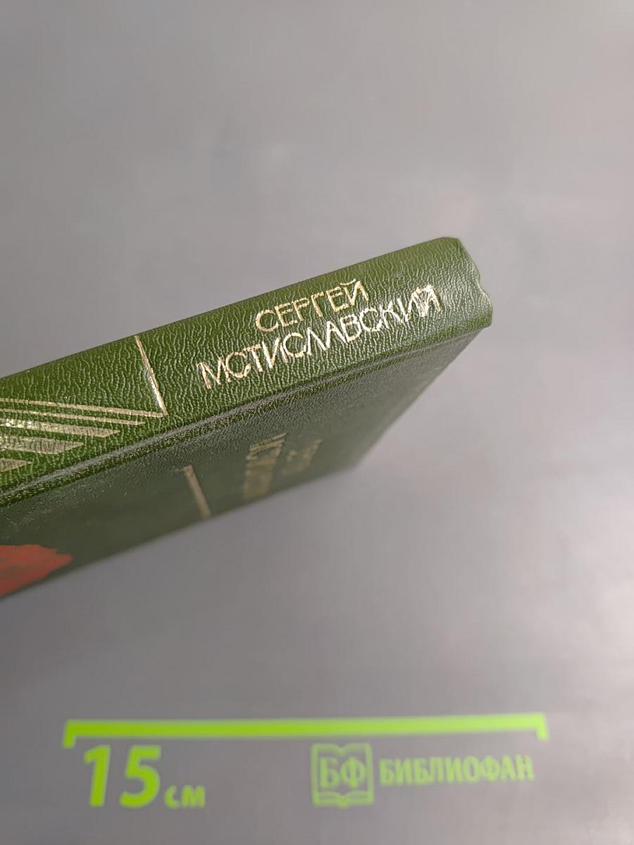 Грач - птица весенняя