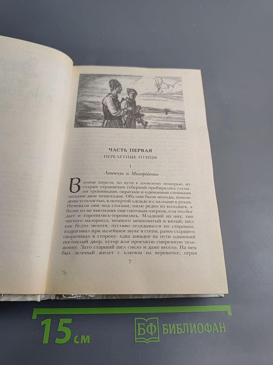 Г.П. Данилевский. Беглые в Новороссии. Воля. Княжна Тараканова