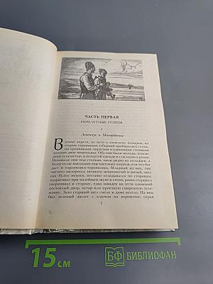 Г.П. Данилевский. Беглые в Новороссии. Воля. Княжна Тараканова