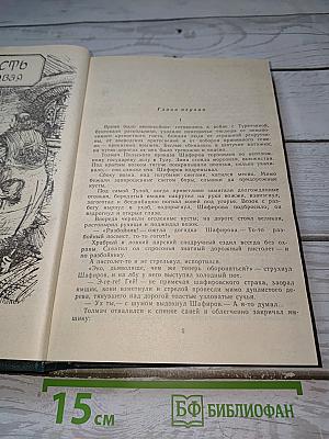 Каменный пояс. Книга первая