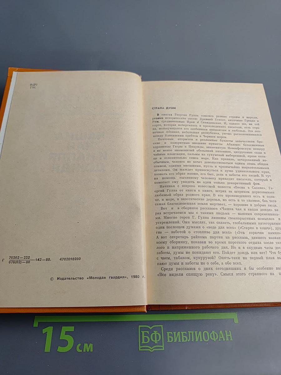 Чашка чая и капля дождя