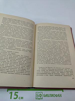 Черный консул