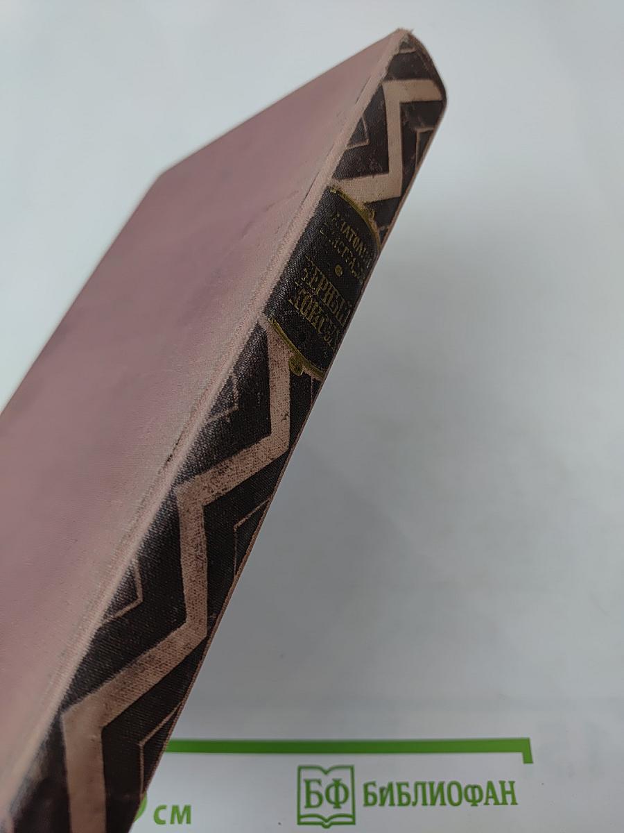 Черный консул