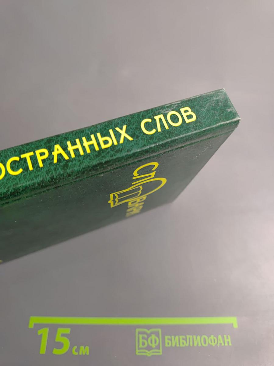 Новый словарь иностранных слов