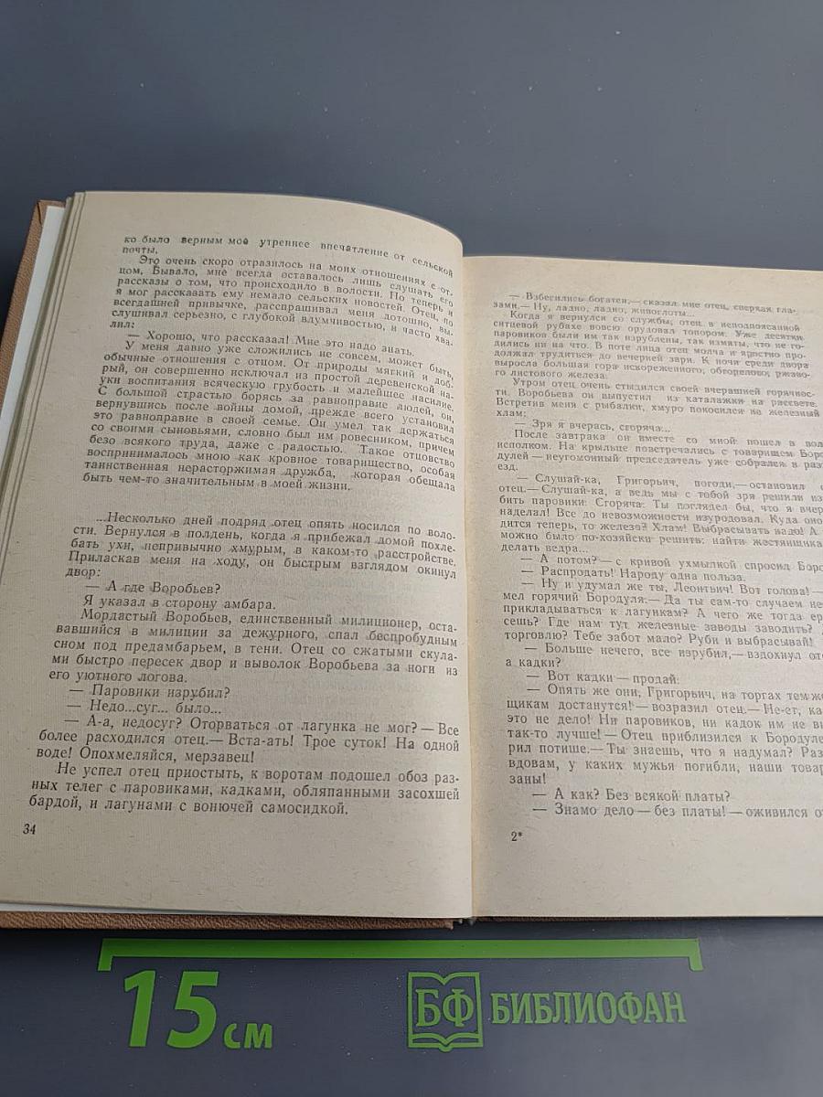 Светлая даль юности