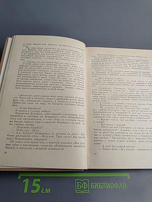 Светлая даль юности