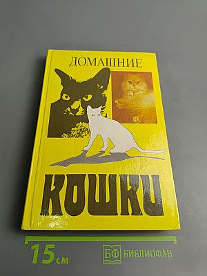 Домашние кошки