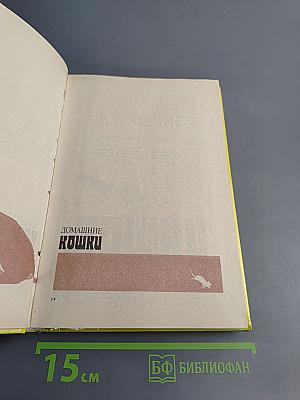 Домашние кошки