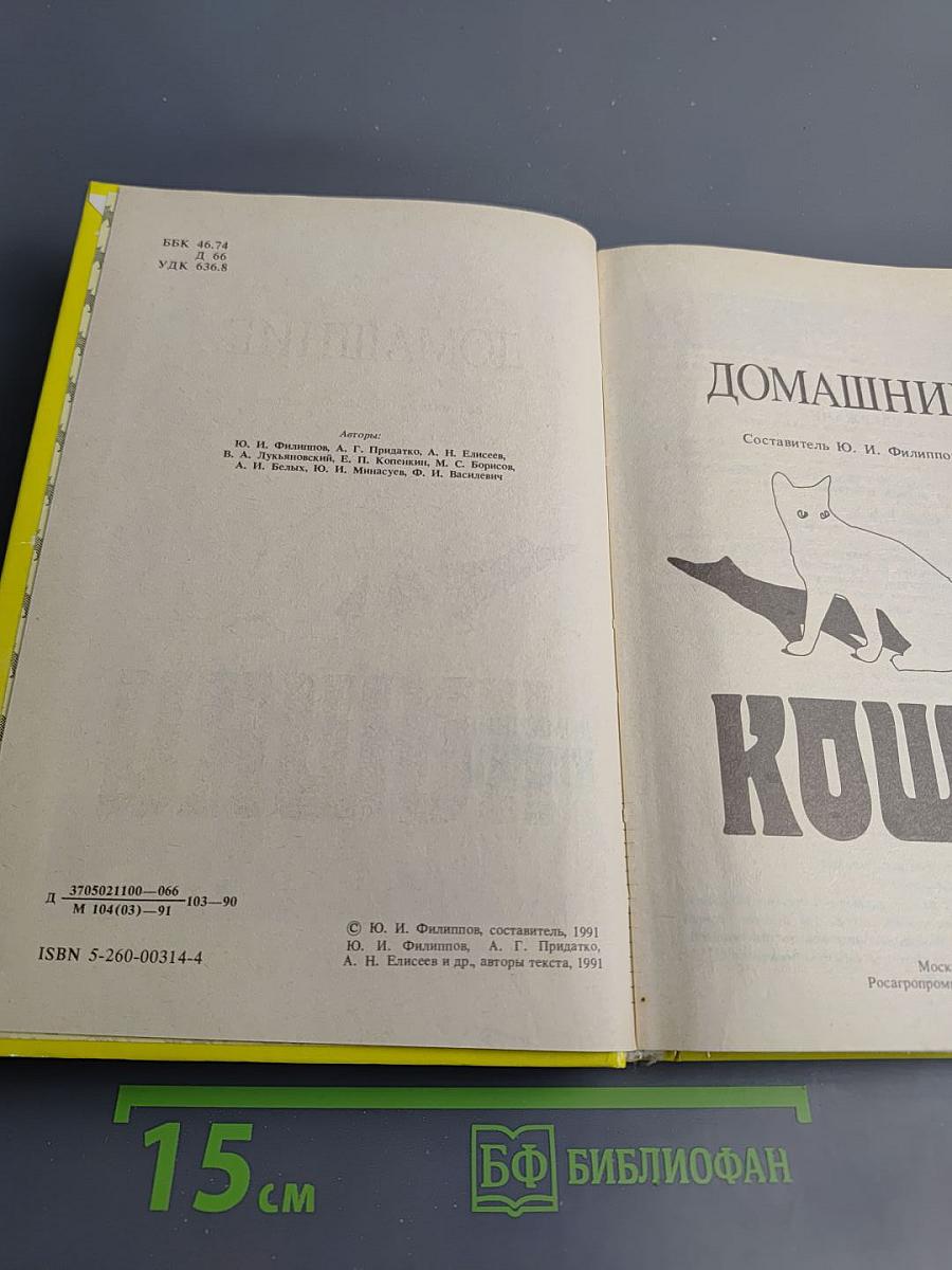 Домашние кошки