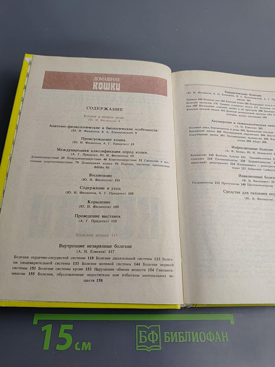 Домашние кошки