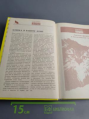 Домашние кошки