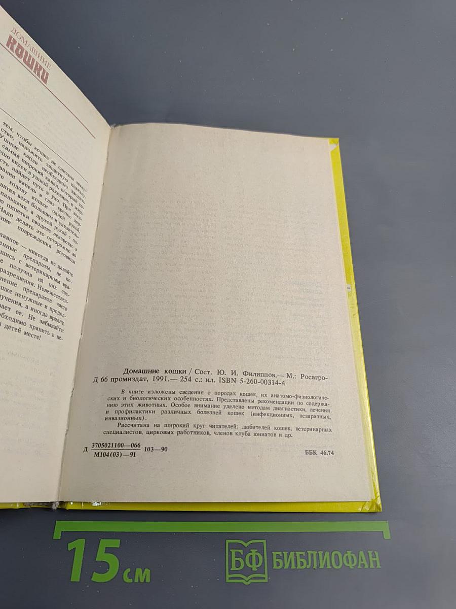 Домашние кошки