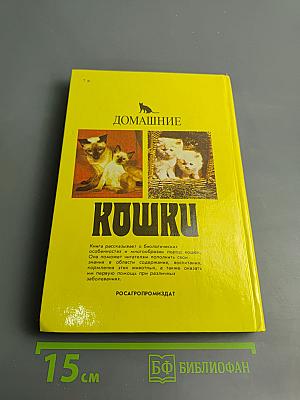 Домашние кошки