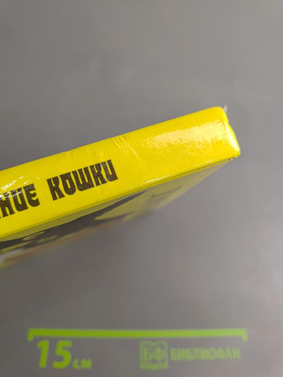 Домашние кошки