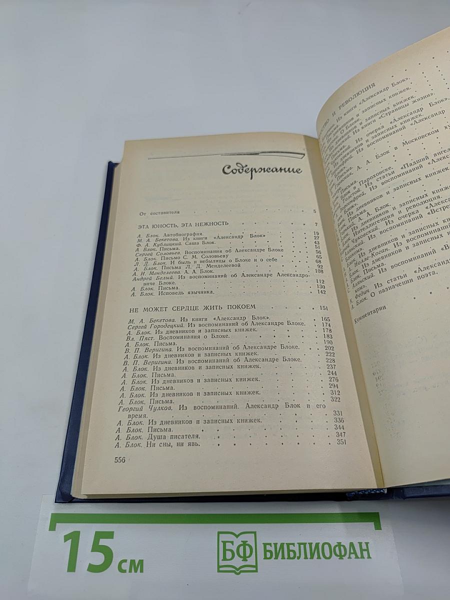Я лучшей доли не искал...: Судьба Александра Блока в письмах, дневниках, воспоминаниях