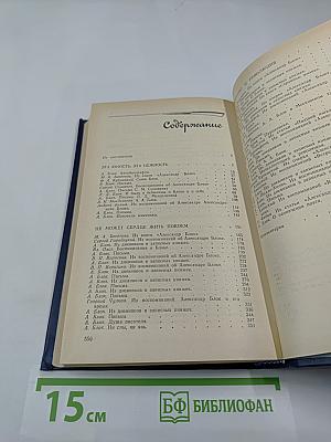 Я лучшей доли не искал...: Судьба Александра Блока в письмах, дневниках, воспоминаниях