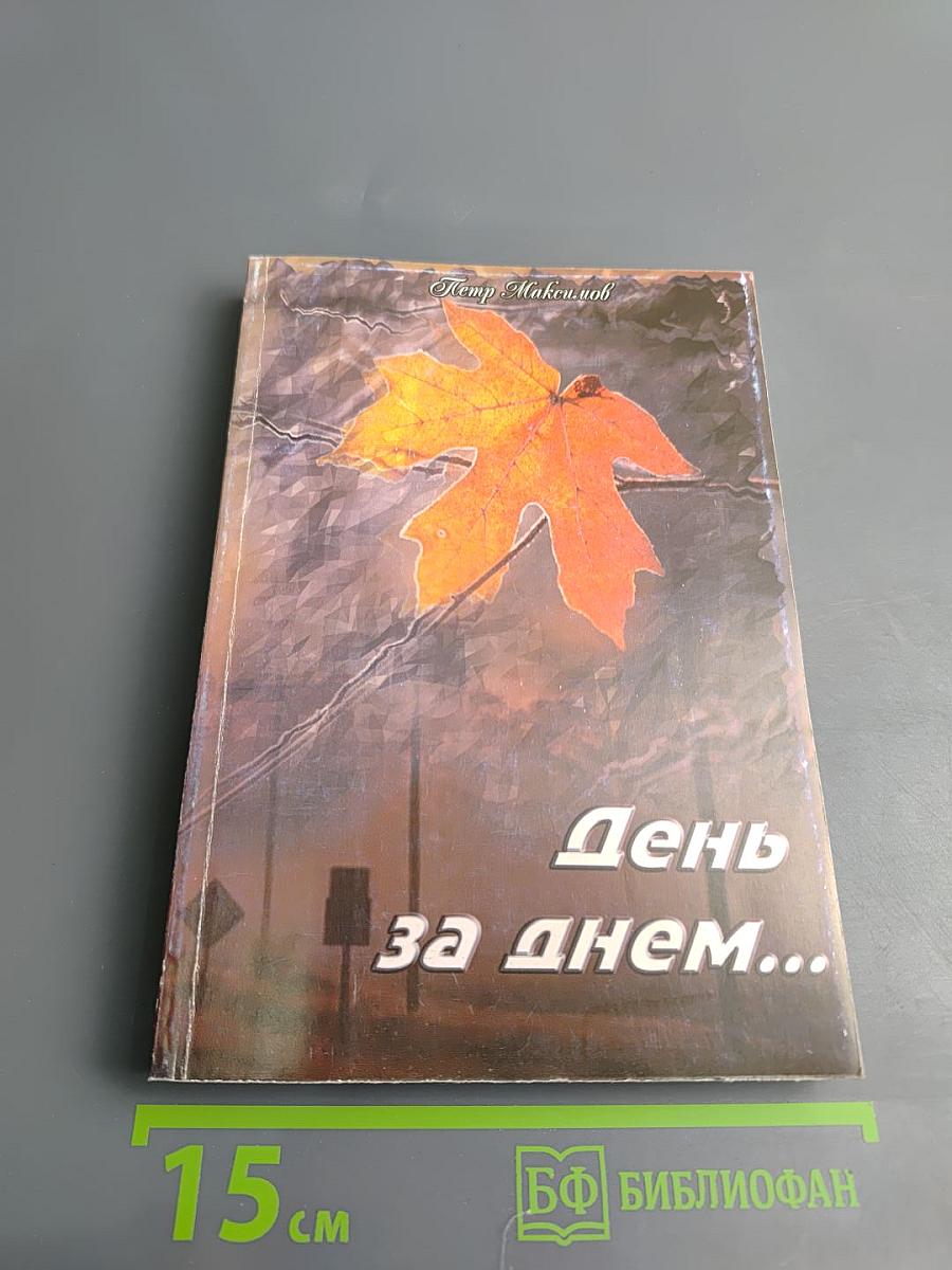 День за днём...